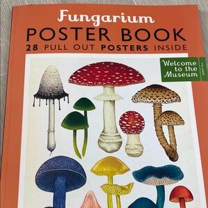 Red and Green Mushroom Art Poster